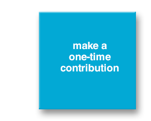 Make a Contribution